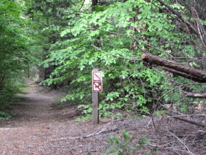 bradley grove trail crossing