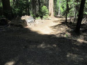 unmarked trail